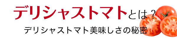 デリシャストマトとは？