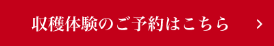 収穫体験のご予約はこちら
